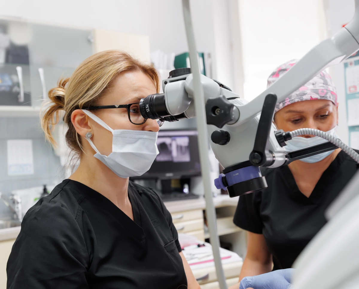 endodoncja https://ortodent.com.pl/wp-content/uploads/2026/04/endodoncja.webp